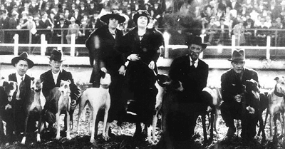 Greyhound-history Greyhound-history