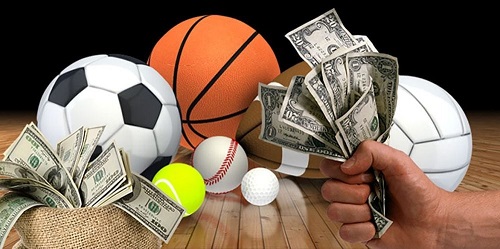 Sports Bettors online